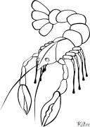 crayfish Printable Coloring Nplooj Ntawv